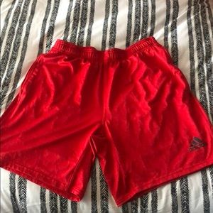 Men’s Large Adidas Shorts